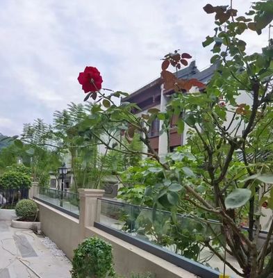 유연한 알루미늄 U 채널 유리 릴링 외관 프레임 없는 유리 발루스트라드