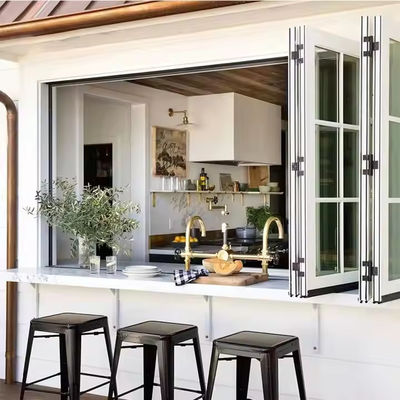 쉽게 설치 및 사용자 정의 가능한 표면 처리를 가진 철/알루미늄 온화 유리 창문