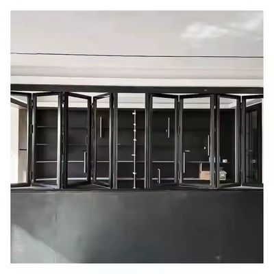 EDPM 고무 스트립 창문 봉쇄 및 하드웨어와 함께 상업적인 허리케인 견제 바이플드 윈도우